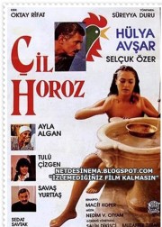 Çil Horoz