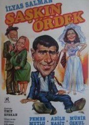 Şaşkın Ördek
