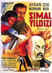 Şimal Yıldızı