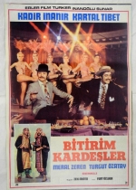 Bitirim Kardeşler poster