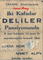 İki Kafadar Deliler Pansiyonunda poster